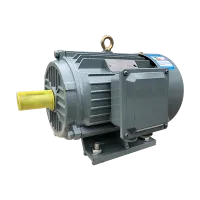 লো ভোল্টেজ হাই পাওয়ার 315kW অ্যাসিঙ্ক্রোনাস ইন্ডাকশন মোটর