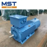 এলভি ইন্ডাকশন মোটর